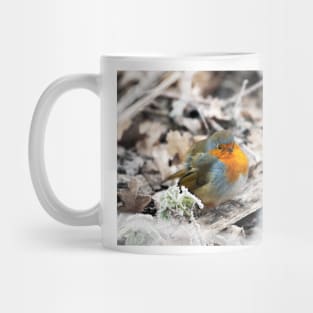 Frosty Robin Mug